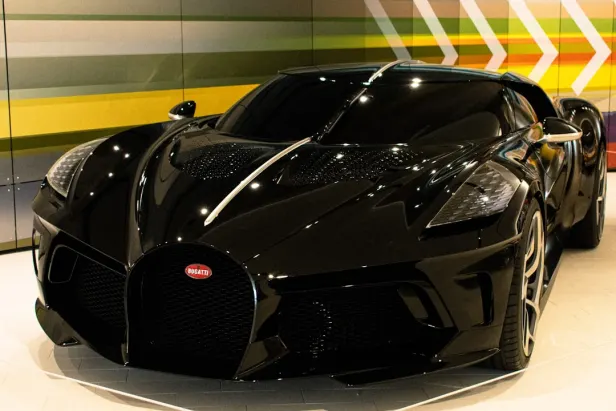 Casino Slots Kingdom Android/iOS Forrit